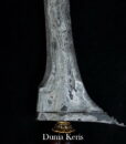 Keris Jalak Ngore Pamor Pedaringan Kebak Sepuh